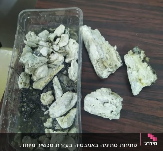 אבנים לבנות במגש פלסטיק על שולחן עץ